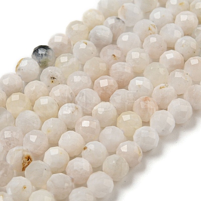 Natural Rainbow Moonstone Beads Strands G-A097-A02-06-1