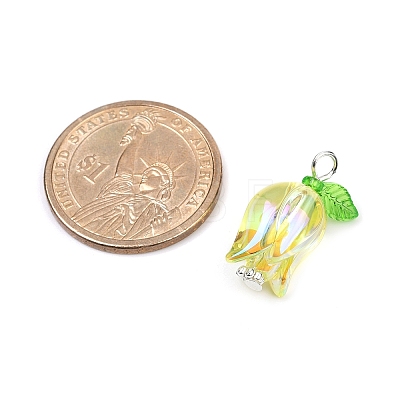 Acrylic Pendants PALLOY-JF03534-02-1