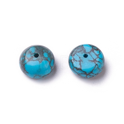 Natural Howlite Beads G-O184-29-1