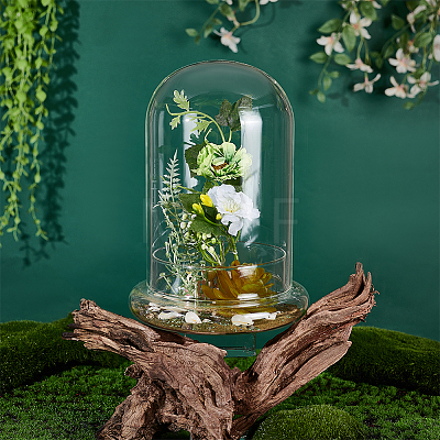 Glass Dome Cover DJEW-WH0099-06C-1