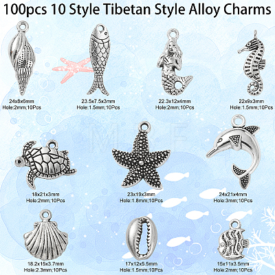 100pcs 10 Style Tibetan Style Alloy Charms TIBEP-CJ0001-36-1
