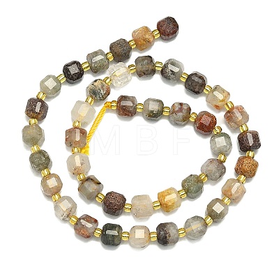 Natural Lodolite Quartz  Beads Strands G-I376-D89-01-1