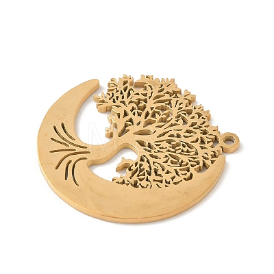 304 Stainless Steel Pendants STAS-V016-10G-1
