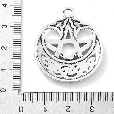 Tibetan Style Alloy Pendants FIND-I042-01AS-01-1