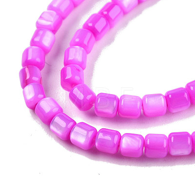 Natural Freshwater Shell Beads Strands SHEL-N003-33-A05-1