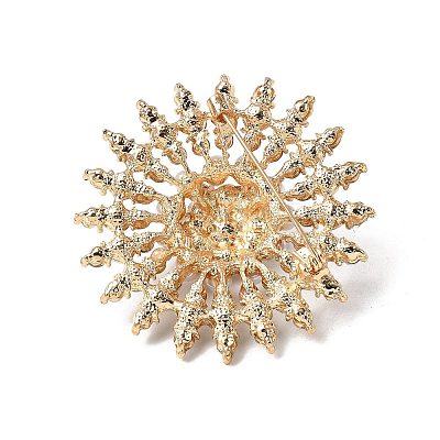 Alloy Rhinestone Brooches JEWB-XCP0001-10-1