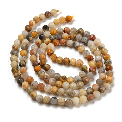 Natural Crazy Lace Agate Beads Strands G-K020-3mm-29-1