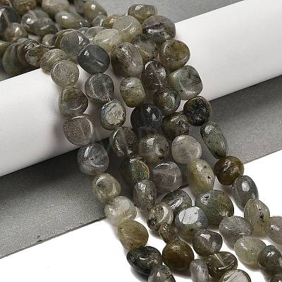 Natural Labradorite Beads Strands G-P497-01E-47-1