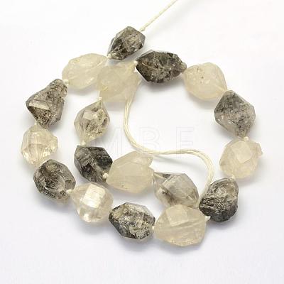 Rough Raw Natural Quartz Beads Strands G-K202-32-1