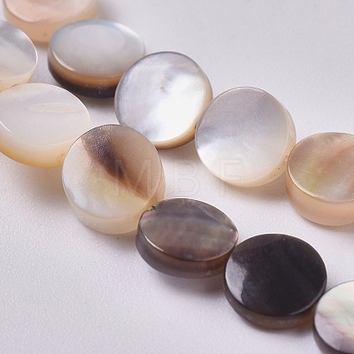 Black Lip Shell Beads Strands BSHE-L043-02-1
