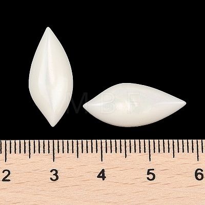 Opaque Resin Decoden Cabochons CRES-I036-14B-1