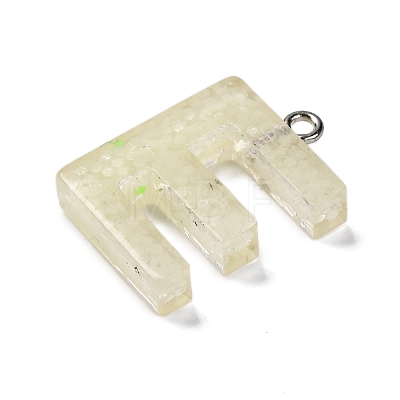 Luminous Resin Pendants RESI-I059-E02-1