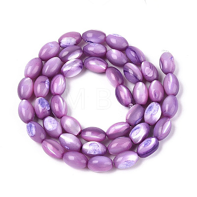 Natural Trochus Shell Beads Strands SHEL-K006-19-01D-1