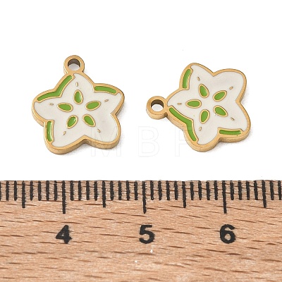 Fruit 304 Stainless Steel Enamel Pendants SA-CBA49D2-11G-05-1