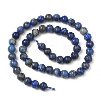 Natural Lapis Lazuli Bead Strands X-G-G953-01-8mm-1