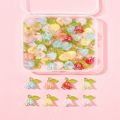 50Pcs Transparent Acrylic Pendants PALLOY-FS00043-03-1