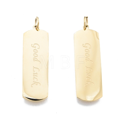 Ion Plating(IP) 304 Stainless Steel Pendants STAS-T060-23G-1