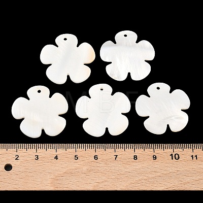 Shell Pendants PBB180Y-1