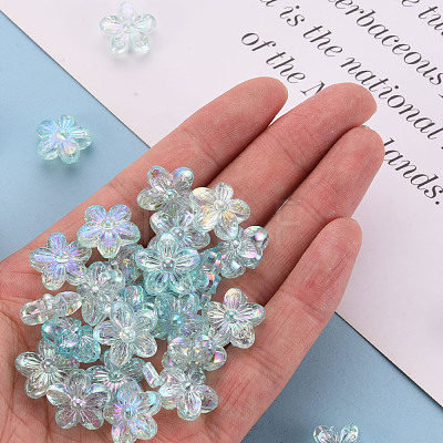 Transparent Acrylic Beads TACR-S154-45C-754-1