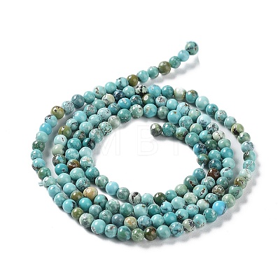 Natural HuBei Turquoise Beads Strands G-M411-A02-02-1