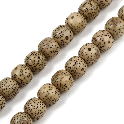 Natural Rudraksha Bodhi Seed Beads Strand WOOD-B010-A03-8x9mm-1
