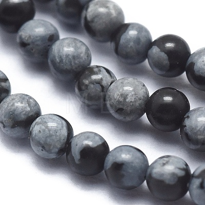 Natural Snowflake Obsidian Beads Strands G-A177-04-21-1