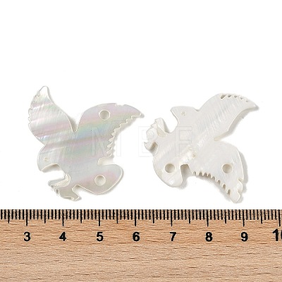 Natural Freshwater Shell Links Connector Charms SHEL-K009-08-1