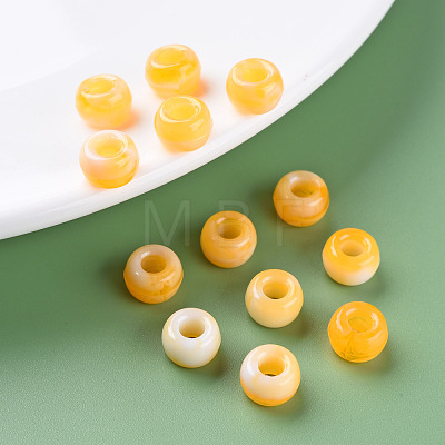 Acrylic European Beads MACR-S375-002B-06-1