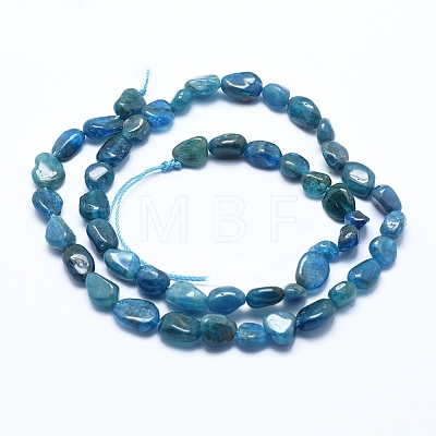 Natural Apatite Beads Strands X-G-E483-41A-1
