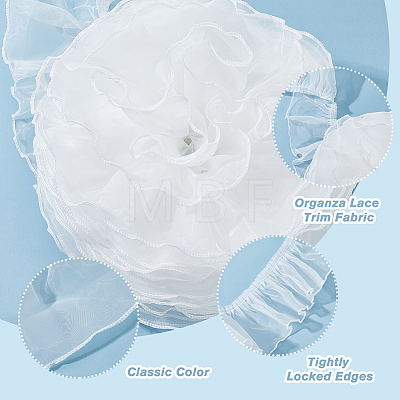 6M Organza Lace Trim Fabric SENE-HY0001-01A-1