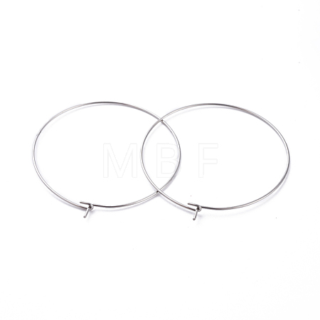 316 Surgical Stainless Steel Hoop Earring Findings STAS-J025-01F-P-1