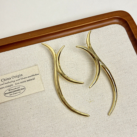 Arch Line Alloy Stud Earrings FS-WGE611E-01-1