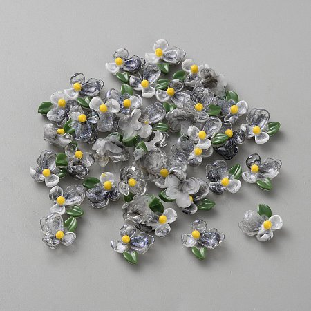 Transparent Resin Cabochons FIND-CJC0437-024D-1