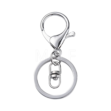 Iron Alloy Lobster Claw Clasp Keychain X-KEYC-D016-P-1