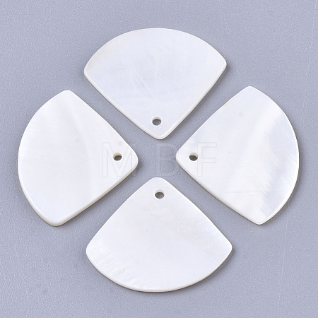 Natural Freshwater Shell Pendants SHEL-R047-19-1