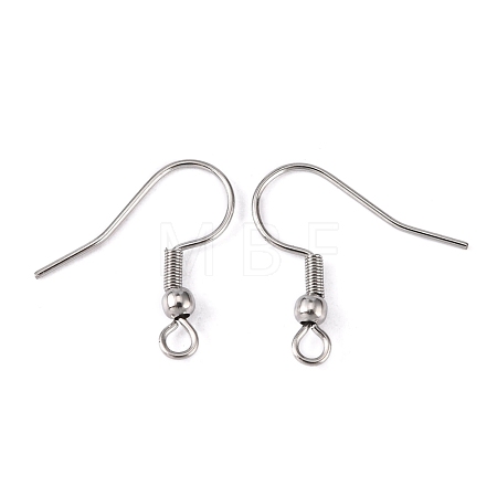 Tarnish Resistant 316 Surgical Stainless Steel Earring Hooks X-STAS-O032-01-1