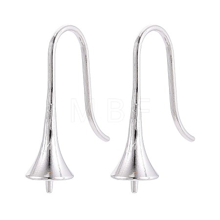 304 Stainless Steel Earring Hooks X-STAS-N108-30P-1