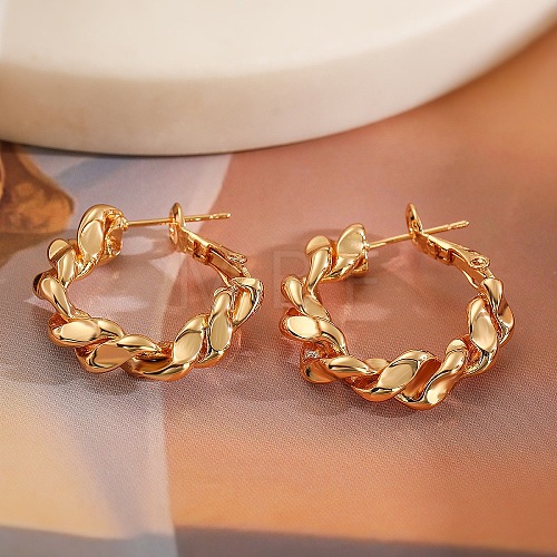 Brass Hoop Earrings PW-WGADC61-01-1