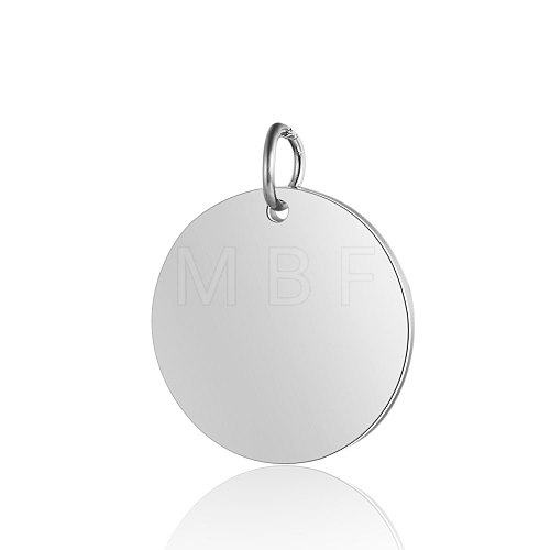 Anti-Tarnish 304 Stainless Steel Pendants STAS-I311-06P-1