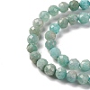 Natural Amazonite Beads Strands G-G140-A18-03-A-4