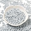Opaque Colours Luster Glass Seed Beads X1-SEED-B001-01A-09-2