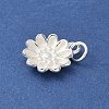 S925 Sterling Silver Charm STER-H115-11A-S-2