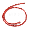 Natural Freshwater Shell Beads Strands SHEL-P017-01B-07-2