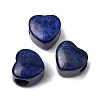Dyed Natural Lapis Lazuli European Beads G-C269-01L-1