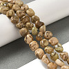 Natural Flower Amazonite Beads Strands G-B078-D17-01-2