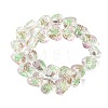 Handmade Transparent Lampwork Beads BLOW-D300-07C-2