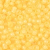 6/0 Luminous Glass Seed Beads SEED-NH0001-01L-4