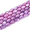 Natural Trochus Shell Beads Strands SHEL-K006-19-01D-1
