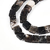 Natural Biotite Beads Strands G-N346-05A-01-4