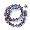 Handmade Lampwork Beads Strands LAMP-I027-09J-2